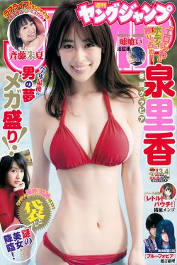 次元派