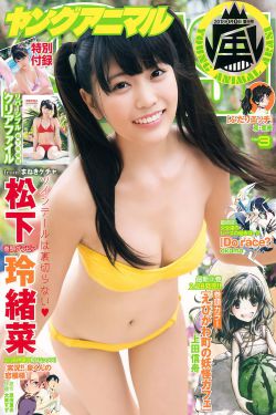 美国版牡丹花下