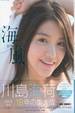 有色内涵漫画