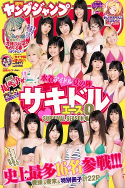 精灵宝可梦日月日语版